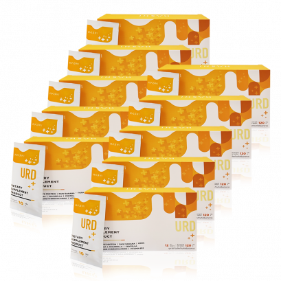 HASHI-URD-10กล่อง