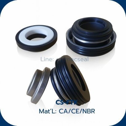 Mechanical Seal #FTK