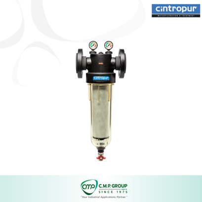 NW 650 2 1/2″ Water filter for industrial use | CINTROPUR