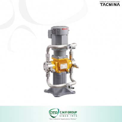 Tacmina Thailand BPL