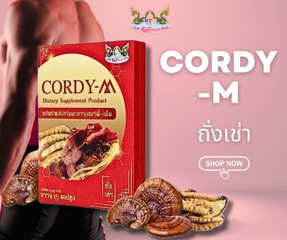 cordy -m ถั่งเช่า