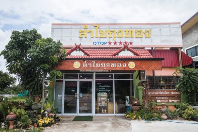 ประวัติความเป็นมา "ลำไยถุงทอง"