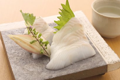 Frozen Greenland Halibut slice