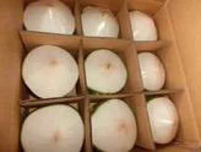 ลูกมะพร้าวบรรจุกล่อง