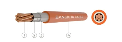 ตัวอย่างสายทนไฟ 0.6/1KV FRC-XLPE/LSHF | BCC