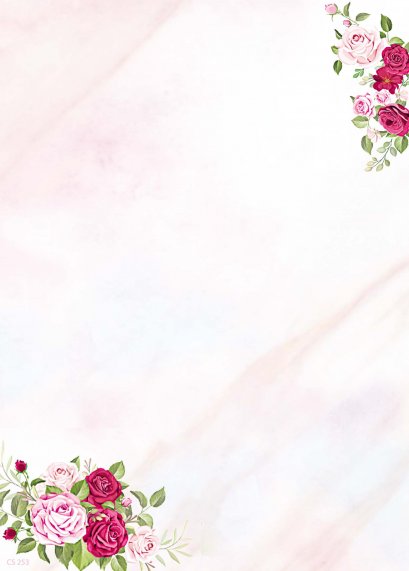 การ์ดงานแต่ง CS253