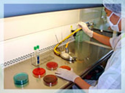 ธุรกิจอาหารสัตว์