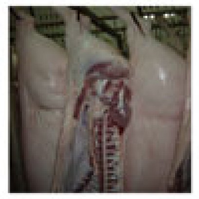 เนื้อสุกรเสริมโอเมก้า 3 (Omega Pork)