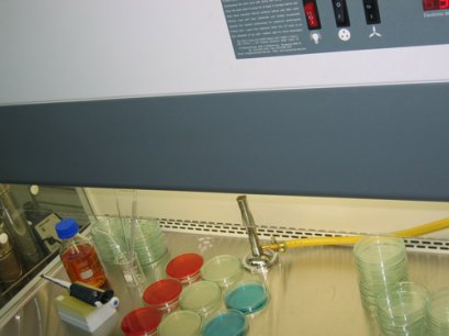 ฝ่ายวิชาการและห้องปฏิบัติการ