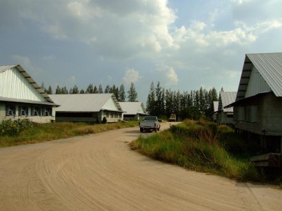 สุกรอนุบาล