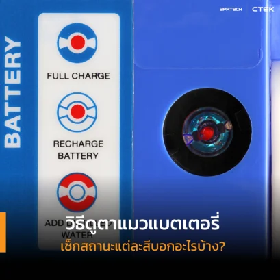 ตาแมวแบตเตอรี่