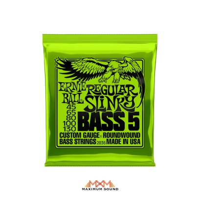 Ernie Ball 5 String Bass - สายกีตาร์เบส(Bass Guitar Strings)