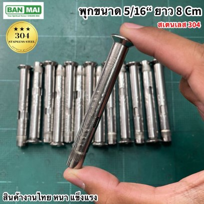 พุกหัวจมสเตนเลส 304 5/16*8 cm