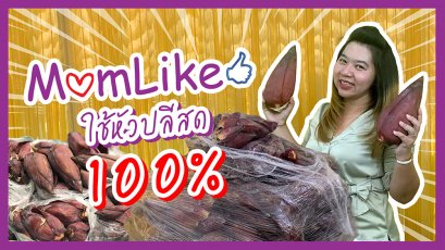 momlike การันตีใช้หัวปลีสด100%