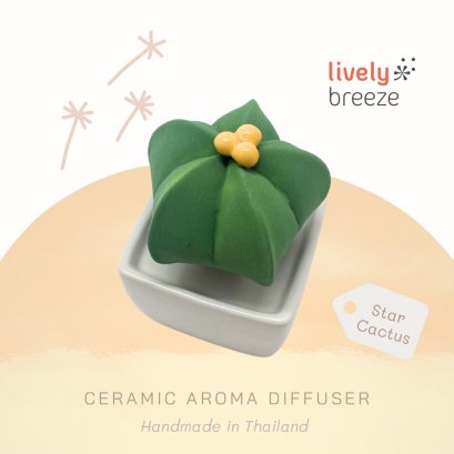 Star Cactus - Ceramic Aroma Diffuser กระบองเพชรดาว เซรามิกกระจายกลิ่นหอม