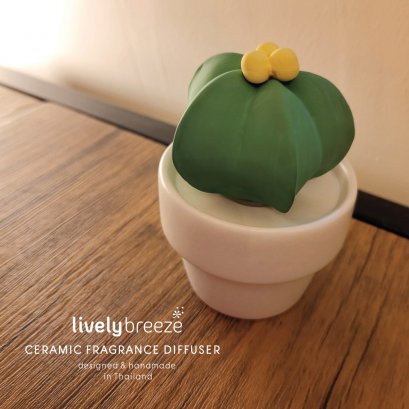Mini Star Cactus ceramic diffuser กระบองเพชรมินิ ดาว