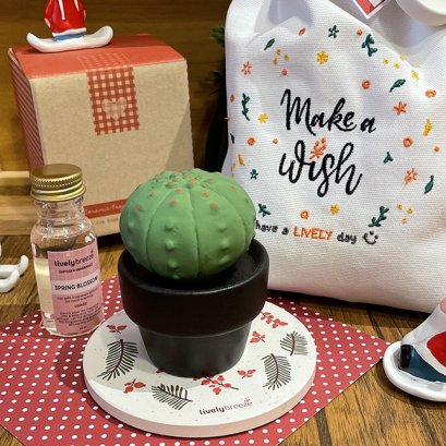 Mini Eddy Cactus - Ceramic Aroma Diffuser กระบองเพชรมินิ เอ็ดดี้