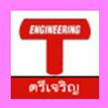 การตรวจสอบการตอกเข็ม