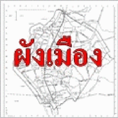 ผังเมืองและโซนสี