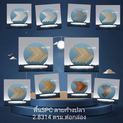 ก้างปลา5013