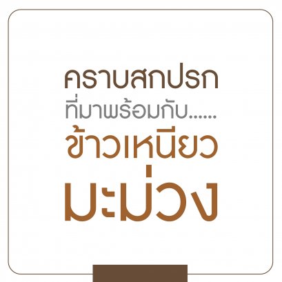 คราบสกปรก...ที่มาพร้อมกับข้าวเหนียวมะม่วง