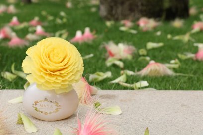 REED DIFFUSER  /   FLOWER DIFFUSER 