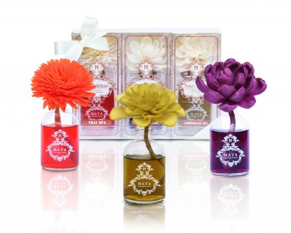 FLOWER DIFFUSER SET SPA