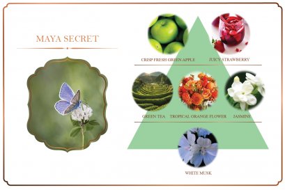 MAYA SECRET กลิ่นหอมแห่งความลับ ที่น่าค้นหา