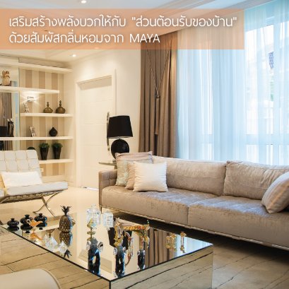 Maya Reed Diffuser "Pear & Freesia"