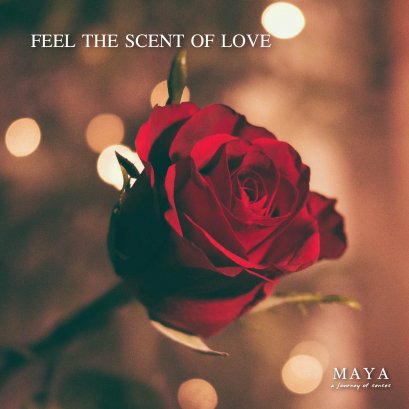 Feel the scent of love "Rose Romance"