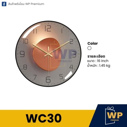 นาฬิกาแขวน WC30