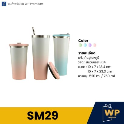 แก้วสแตนเลส SM29