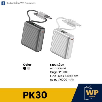Power Bank PK30