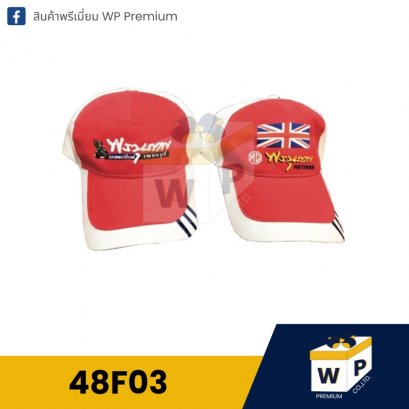 หมวก Cap 48F03