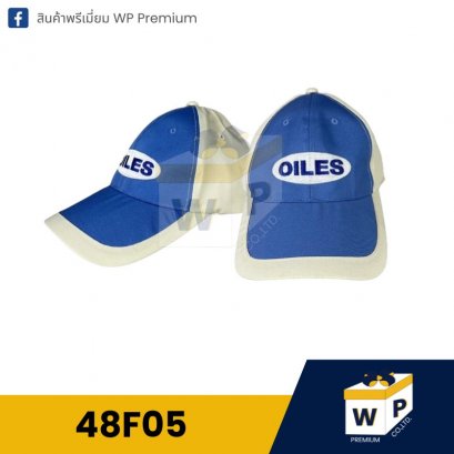 หมวก Cap 48F05