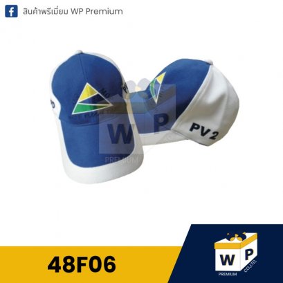 หมวก Cap 48F06