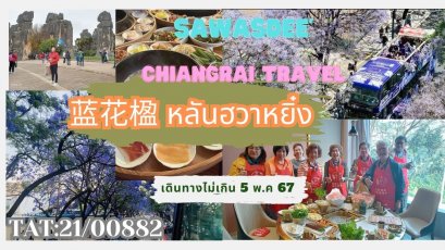 เทศกาล ชมดอก 蓝花楹 หลันฮวาหยิ๋ง 27 เมษายน-1 พ.ค ปี 2567