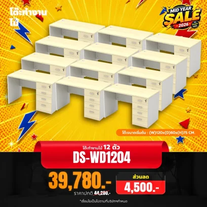 DS-WD1204x12