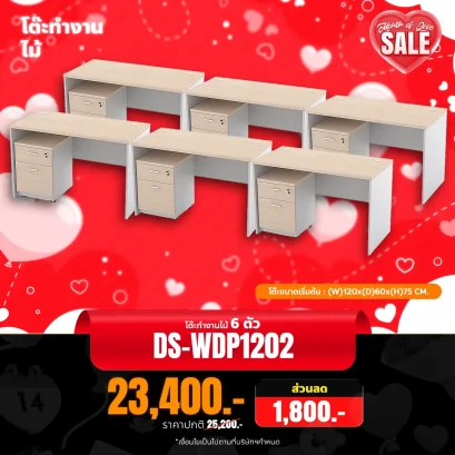DS-WDP1202x6