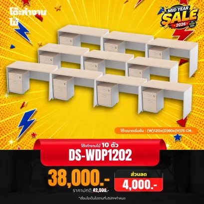 DS-WDP1202x10