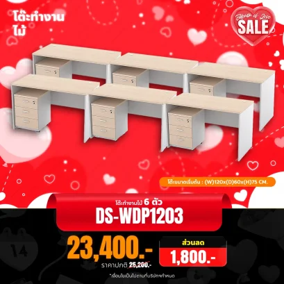 DS-WDP1203x6