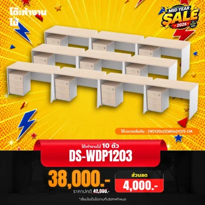 DS-WDP1203x10