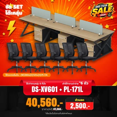 DS-XV601 + PL-171L
