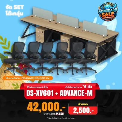 DS-XV601 + ADVANCE-M
