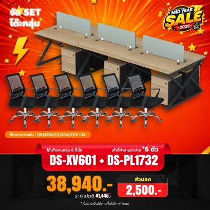 DS-XV601 + DS-PL1732