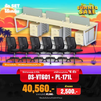 DS-VT601 + DS-PL1732