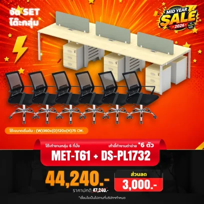 MET-T61 + DS-PL1732