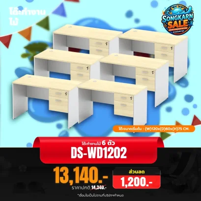 DS-WD1202x6