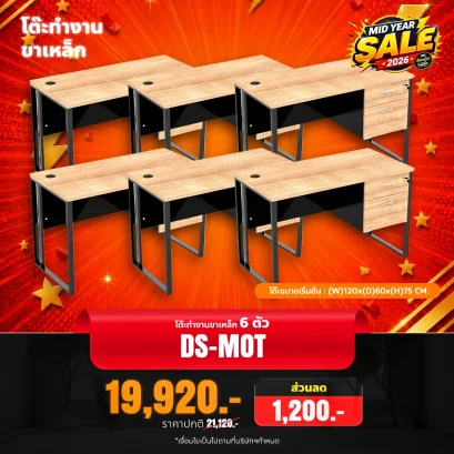 DS-MOTx6