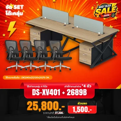 DS-XV401 + 2689B